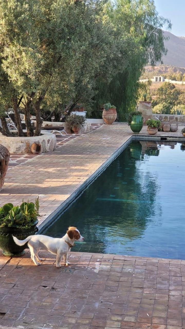 Sel D Ailleurs, Atlas Mountain Retreat - Adults Only Ouirgane Dış mekan fotoğraf