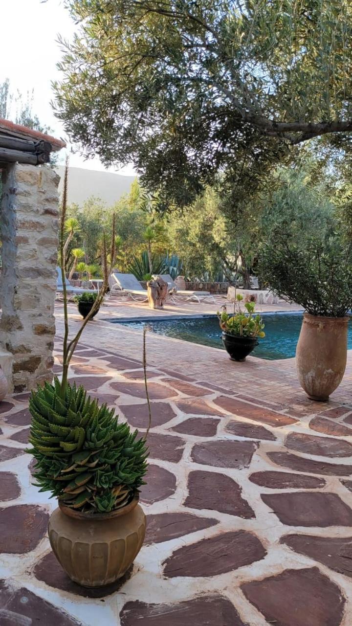 Sel D Ailleurs, Atlas Mountain Retreat - Adults Only Ouirgane Dış mekan fotoğraf